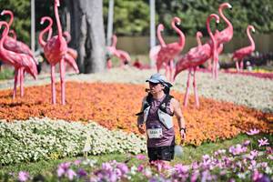 BIB: 
                            <button type="button" onclick="openModal(27793536)" class="btn btn-primary btn-sm float-right btn-popup" data-toggle="modal" data-target=".modal-high-quality">
                        <i class="fas fa-shopping-cart"></i> Add to Cart
                    </button>
                                            <button type="button" onclick="isThisMe(27793536, true)" class="btn btn-success btn-sm float-right btn-popup btn-isme hidden" data-toggle="tooltip" data-placement="bottom" title="นี่คือรูปของคุณใช่ไหม คลิกที่นี่เพื่อเอาเข้าอัลบั้ม">
                        <i class="fas fa-plus"></i> Add to album
                    </button>
                    <button type="button" onclick="isThisMe(27793536, false)" class="btn btn-warning btn-sm float-right btn-popup btn-isnotme hidden">
                        <i class="fas fa-ban"></i> Remove from album
                    </button>